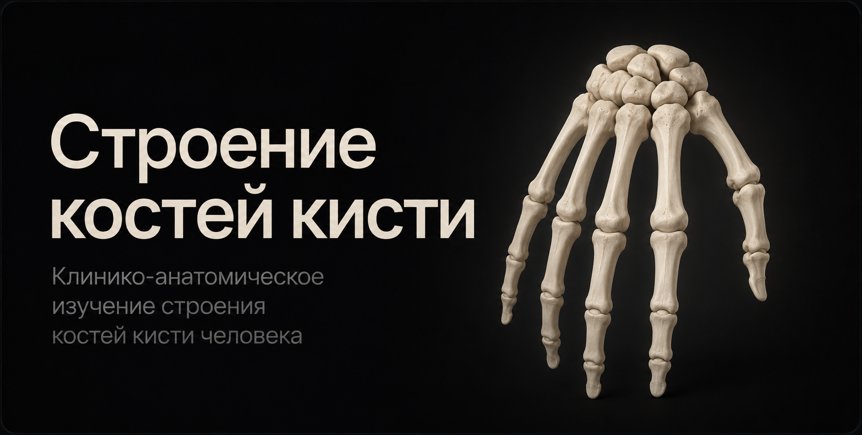 Bones of the Hand 3D model preview